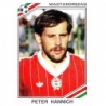 Cromos de Fútbol Peter Hannich Hungary Panini Mexico 86