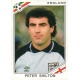 Peter Shilton England 402