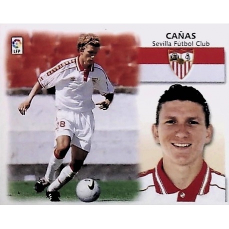 Cañas Baja Sevilla
