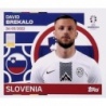 Offer Online David Brekalo Slovenia SVN 9 Topps Euro 2024 Stickers