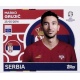 Marko Grujić Serbia SRB 14