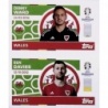 Compra Online Ward - Davies Gales WAL 2 - 3 Album Topps Euro 2024