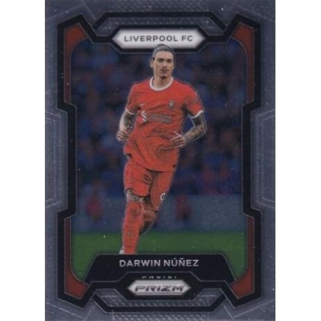 Darwin Nunez Liverpool FC 75