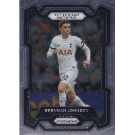 Brennan Johnson Tottenham Hotspur 123