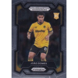 Joao Gomes Wolverhampton Wanderers 203