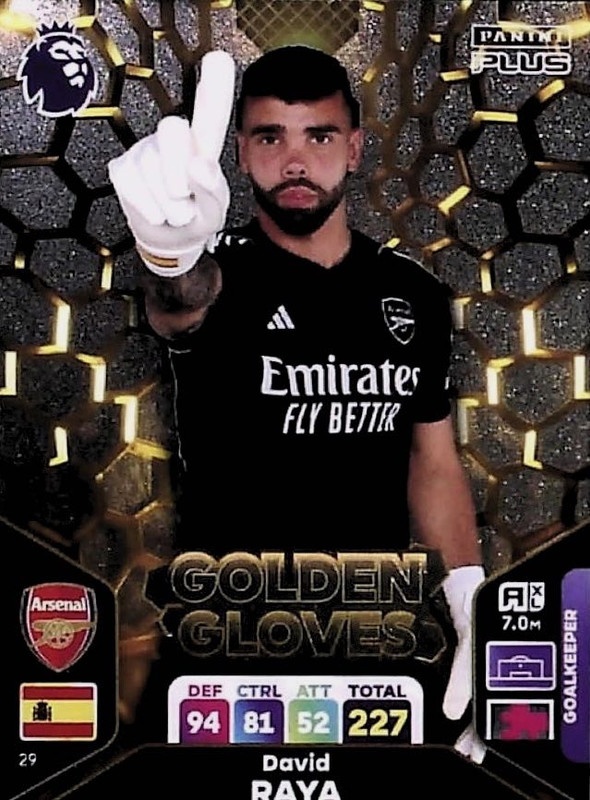 Sale Cards David Raya Golden Gloves Arsenal Premier League