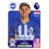 Sticker of Julio Enciso Brighton & Hove Albion Panini Premier League 2024