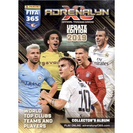 Collection Panini Adrenalyn XL Fifa 365 2019 Update Edition Complete Collections