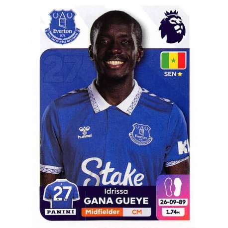 Idrissa Gana Gueye Everton 269