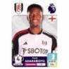 Sticker of Tosin Adarabioyo Fulham Álbum Premier League 2024