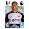 Sale Online Carlos Vinicius Fulham Cromos Premier League 2024