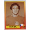 Cromos Online 1976 - Ivo Viktor Roll of Honour Panini Euro 96