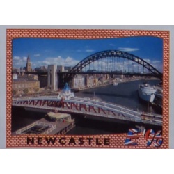 Compra Online Newcastle Cities and Stadiums Panini Europa Europe 96