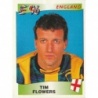 Venta Online Tim Flowers England Panini Europa Europe 96