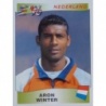 Sale Online Aron Winter Nederland Panini Europa Europe 96