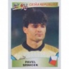 Sale Online Pavel Srnicek Ceska Republika Europa 96 Panini