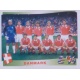 Team Danmark 276