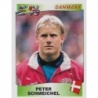 Compra Online Peter Schmeichel Danmark Panini Europa Europe 96