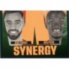 Cromo de Bruno - Pereira Sinergy Parte 2 World Class 2024