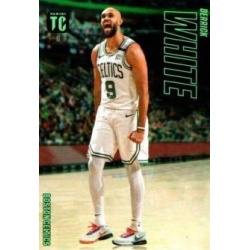 Derrick White Boston Celtics 6