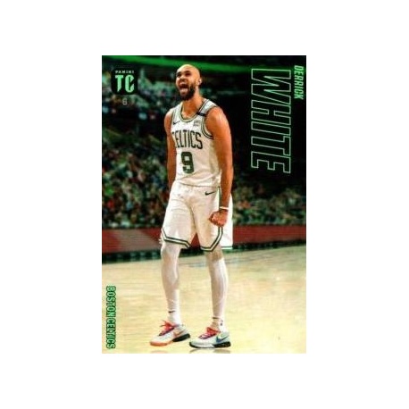 Derrick White Boston Celtics 6