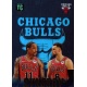 Zach LaVine - DeMar DeRozan Synergy Chicago Bulls 219