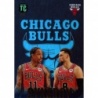 Oferta Cromos Zach LaVine - DeMar DeRozan Synergy Nba Top Class Cards 2024