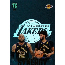 Anthony Davis - LeBron James Synergy Los Angeles Lakers 230
