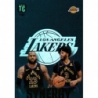 Venta Cromo Anthony Davis - LeBron James Synergy Nba Top Class Cards 2024