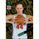 Bojan Bogdanović Holo Giants New York Knicks HG-BJB