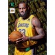 LeBron James Holo Giants Los Angeles Lakers HG-LJ