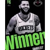 Trading Cards Fred VanVleet Winner Nba Top Class Panini 2024