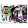 Buy Online Pezzella Real Betis Liga Este 2024-25