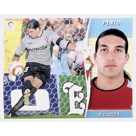 Pinto Celta
