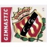 Buy Sticker Escudo Gimnástic Liga Este 2006/07 - Panini