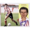 Cromos de la Liga Stankovic Atlético Madrid Ediciones Este 2002-03