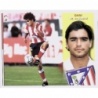 Venta Cromos Dani Atlético Madrid Cromos Liga 2002-03
