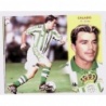 Compra Online Calado Betis 2002-03 Liga Este