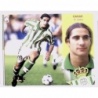 Cromos de la Liga Casas Betis Liga Este 2002-03