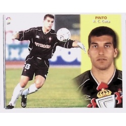 Pinto Celta