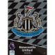Team Badge Newcastle United 262