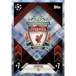 Team Badge Crystal Liverpool 46