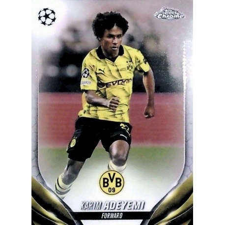 Karim Adeyemi Borussia Dortmund 73