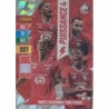 Soccer Cards LOSC Lille  Puissance 4 Adrenalyn Ligue 1 2024-25