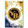 Sale Online Club Badge BSC Young Boys Topps Champions Stickers 2024/25
