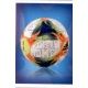 Official Ball 480 Panini Fifa Women's World Cup France 2019 