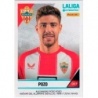 Buy Sticker Pozo Almeria Stickers Segunda Division 2024-25