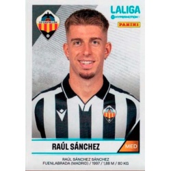 Raúl Sánchez Castellón 109
