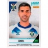 Offer Online Ángel Tenerife Stickers Segunda Division 2024-25