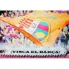 Buy Cards Himno Barcelona Visca El Barça Castellano Mundicromo Fichas Liga 2008